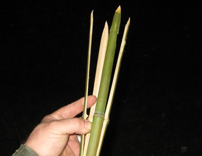 Bamboo Fishing Spear